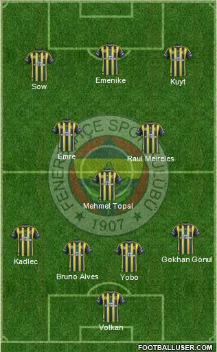 Fenerbahçe SK Formation 2013