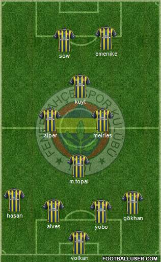 Fenerbahçe SK Formation 2013