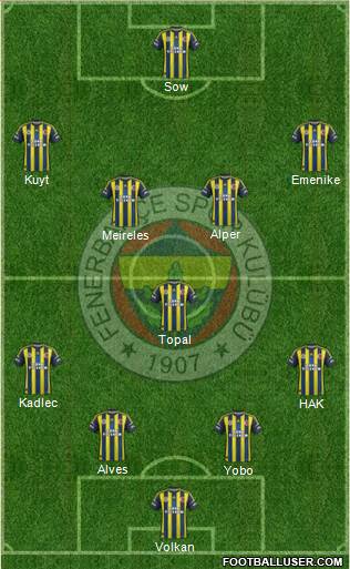 Fenerbahçe SK Formation 2013