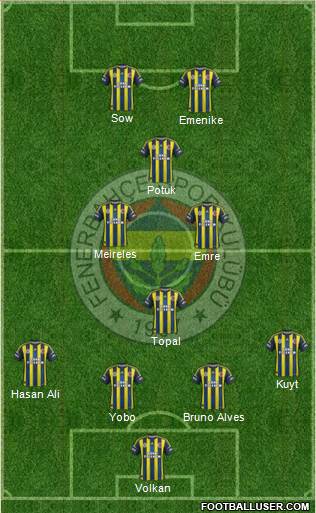 Fenerbahçe SK Formation 2013