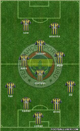 Fenerbahçe SK Formation 2013