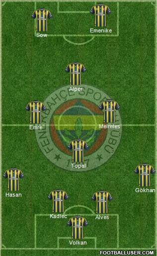 Fenerbahçe SK Formation 2013