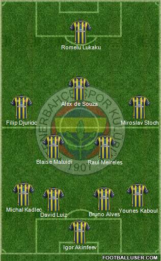 Fenerbahçe SK Formation 2013