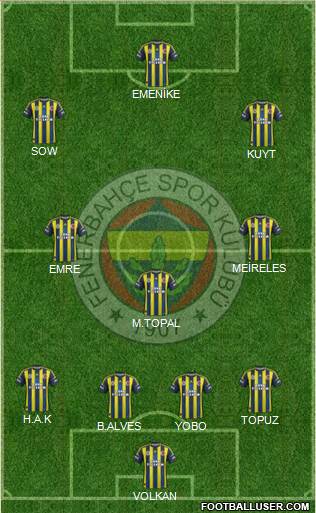 Fenerbahçe SK Formation 2013