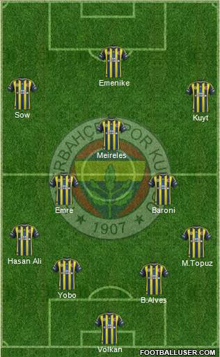 Fenerbahçe SK Formation 2013