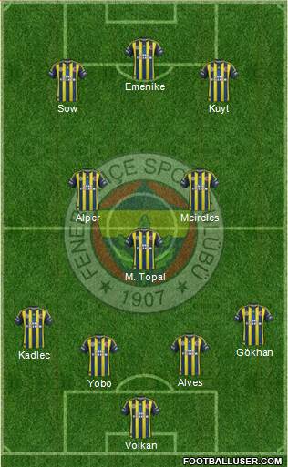 Fenerbahçe SK Formation 2013