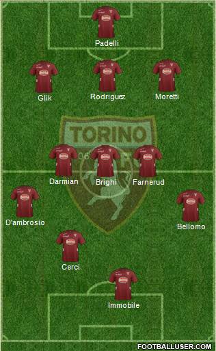 Torino Formation 2013