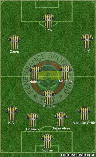 Fenerbahçe SK Formation 2013