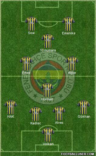 Fenerbahçe SK Formation 2013