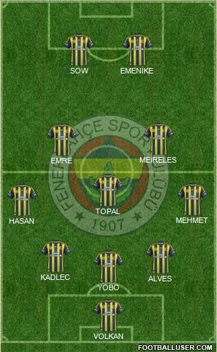 Fenerbahçe SK Formation 2013