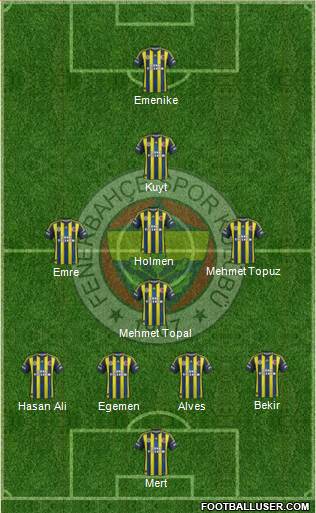 Fenerbahçe SK Formation 2013