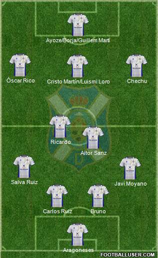 C.D. Tenerife S.A.D. Formation 2013