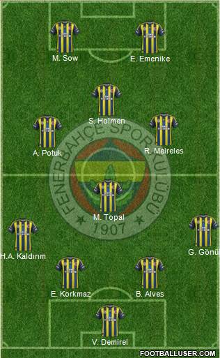 Fenerbahçe SK Formation 2013