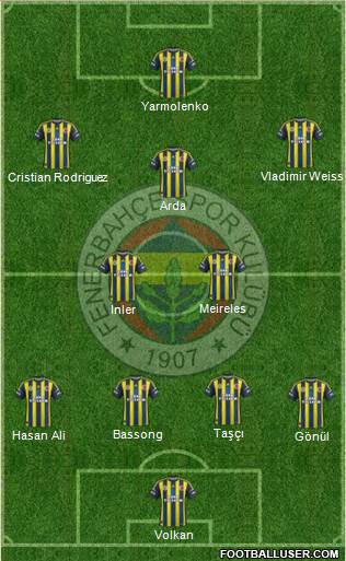 Fenerbahçe SK Formation 2013