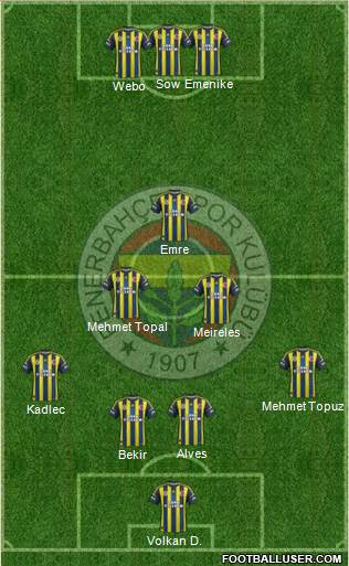 Fenerbahçe SK Formation 2013