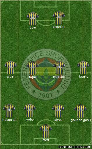 Fenerbahçe SK Formation 2013