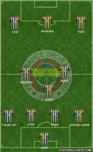 Fenerbahçe SK Formation 2013