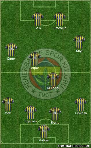 Fenerbahçe SK Formation 2013