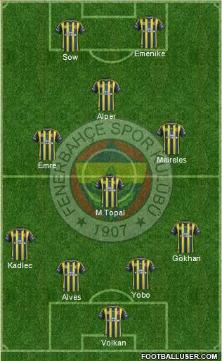 Fenerbahçe SK Formation 2013