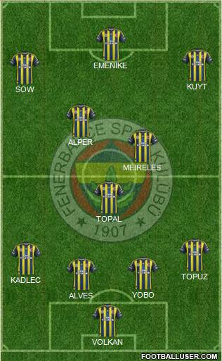 Fenerbahçe SK Formation 2013