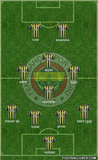 Fenerbahçe SK Formation 2013