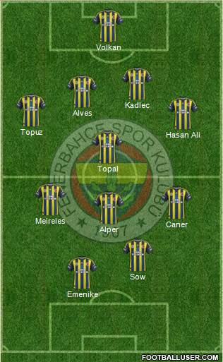 Fenerbahçe SK Formation 2013