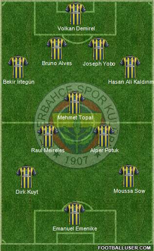 Fenerbahçe SK Formation 2013