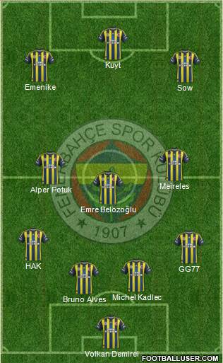 Fenerbahçe SK Formation 2013