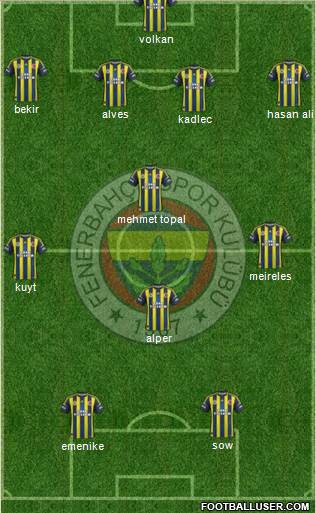 Fenerbahçe SK Formation 2013