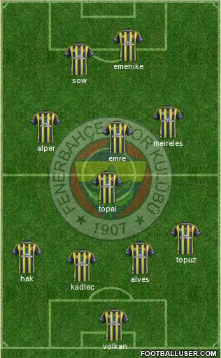 Fenerbahçe SK Formation 2013