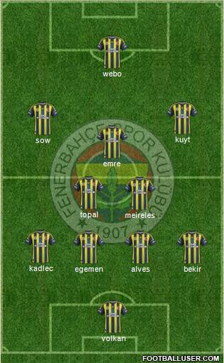 Fenerbahçe SK Formation 2013