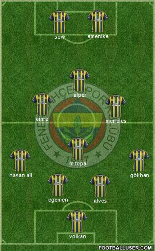 Fenerbahçe SK Formation 2013