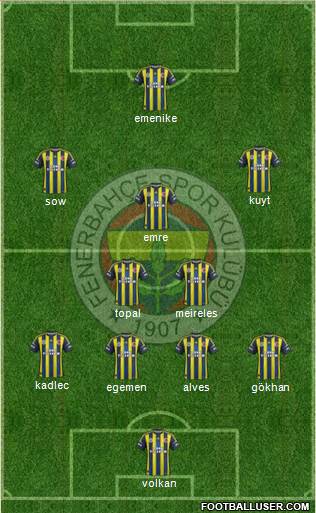 Fenerbahçe SK Formation 2013