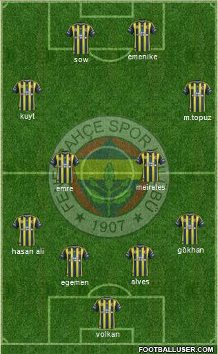 Fenerbahçe SK Formation 2013