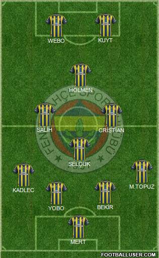 Fenerbahçe SK Formation 2013