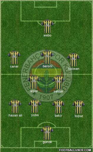 Fenerbahçe SK Formation 2013