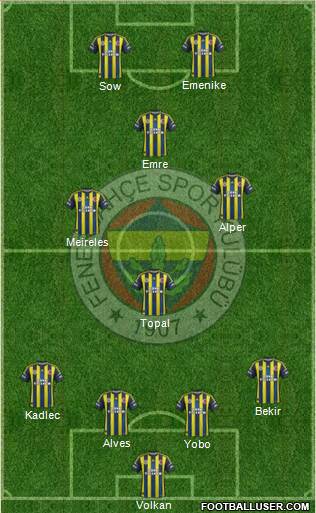 Fenerbahçe SK Formation 2013