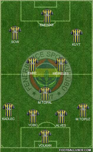 Fenerbahçe SK Formation 2013