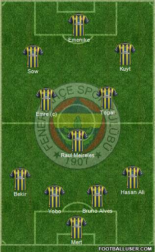 Fenerbahçe SK Formation 2013