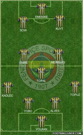 Fenerbahçe SK Formation 2013