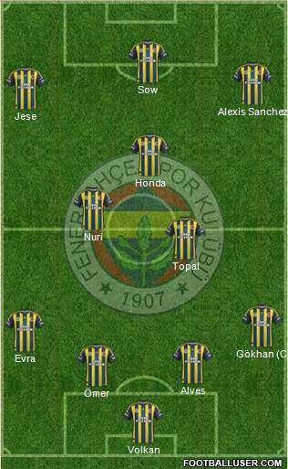 Fenerbahçe SK Formation 2013