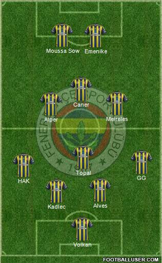 Fenerbahçe SK Formation 2013