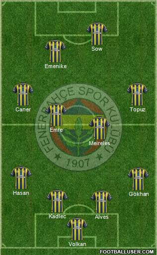 Fenerbahçe SK Formation 2013