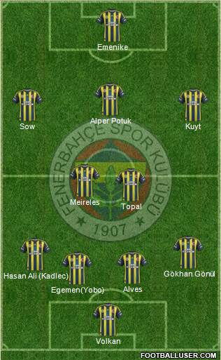 Fenerbahçe SK Formation 2013