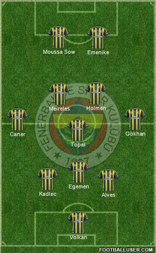 Fenerbahçe SK Formation 2013