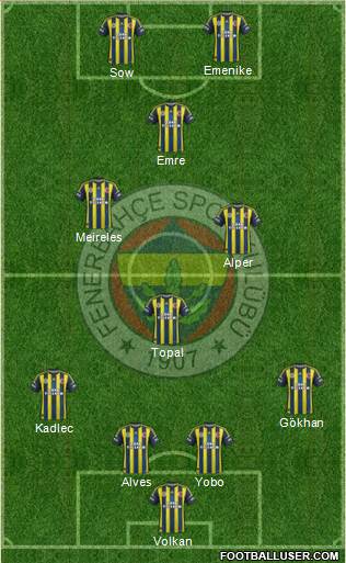 Fenerbahçe SK Formation 2013