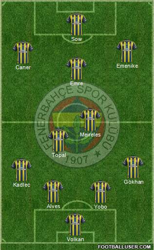 Fenerbahçe SK Formation 2013