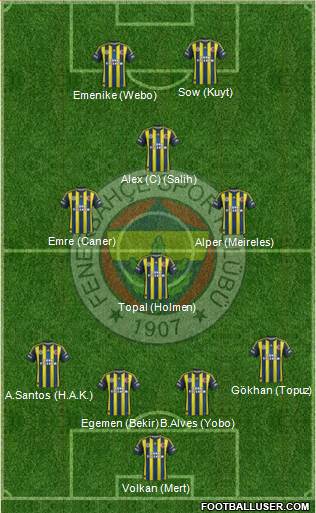 Fenerbahçe SK Formation 2013