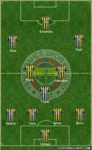 Fenerbahçe SK Formation 2013