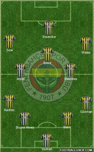 Fenerbahçe SK Formation 2013